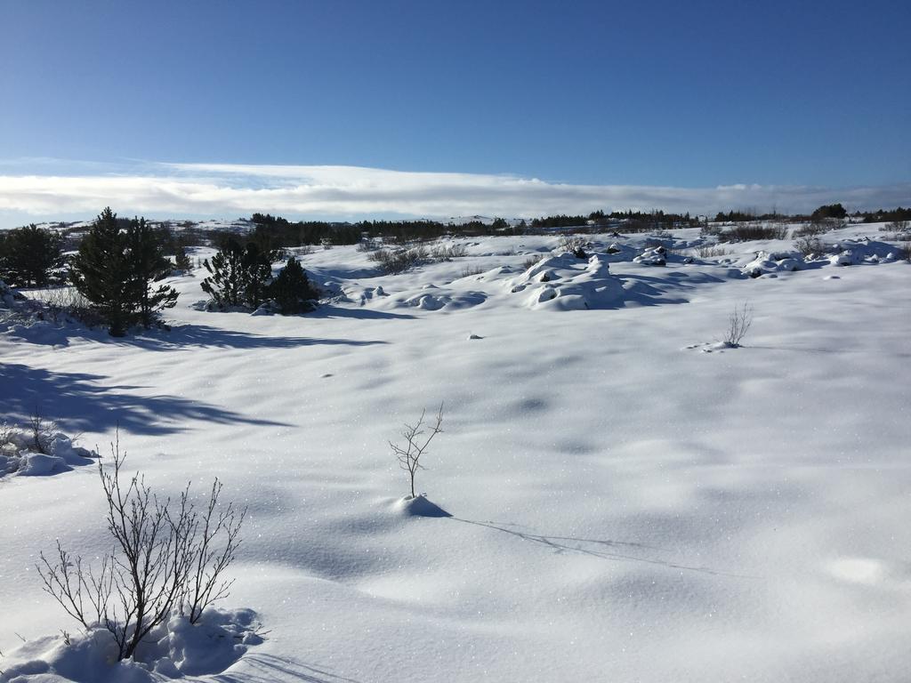 Lovely Cabin In The Capital Area With Hot Tube Hafnarfjörður Εξωτερικό φωτογραφία